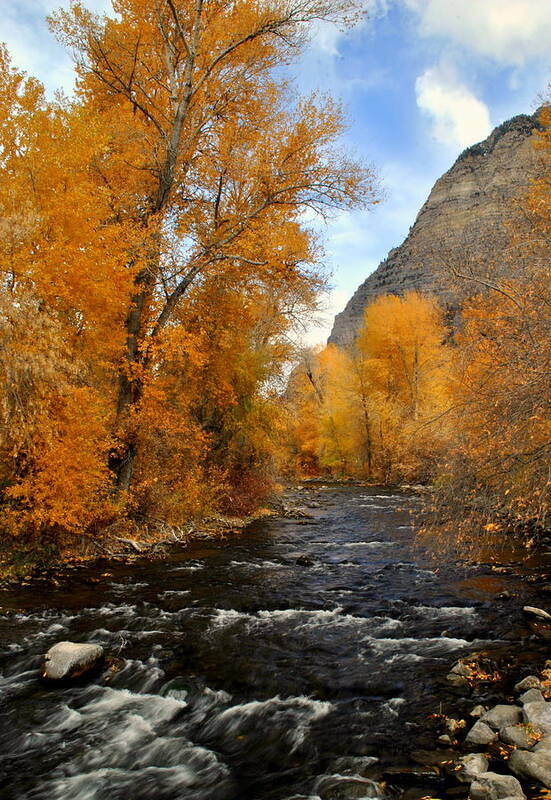 Fall Art Print featuring the photograph Provo River Utah by Nathan Abbott