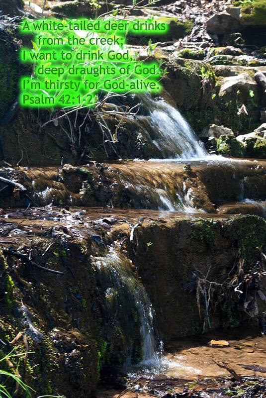 Stream Art Print featuring the photograph Psalm 42 by George Taylor