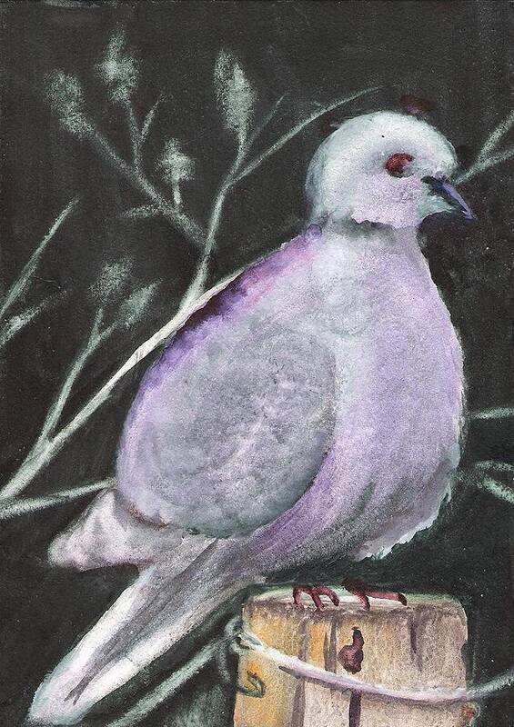 Bird Art Print featuring the painting Quiet Dove by Marsha Woods