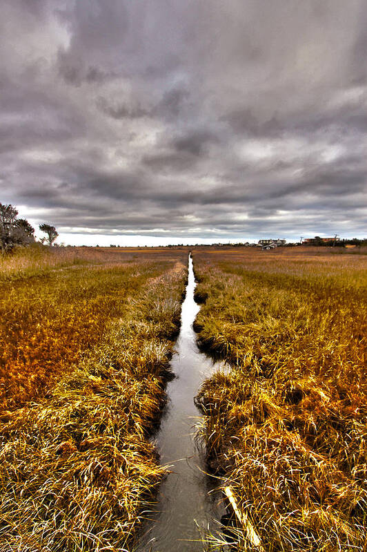 Quogue Wetlands Preserve Art Print featuring the photograph Quogue Wetlands Preserve - 1 by Robert Seifert