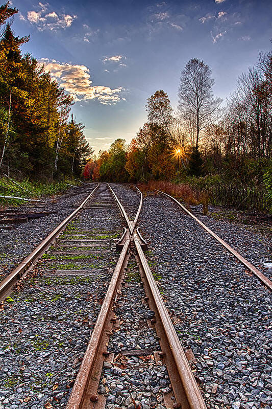 Pondicherry National Wildlife Refuge Art Print featuring the photograph Rails In The Wilderness by Jeff Sinon