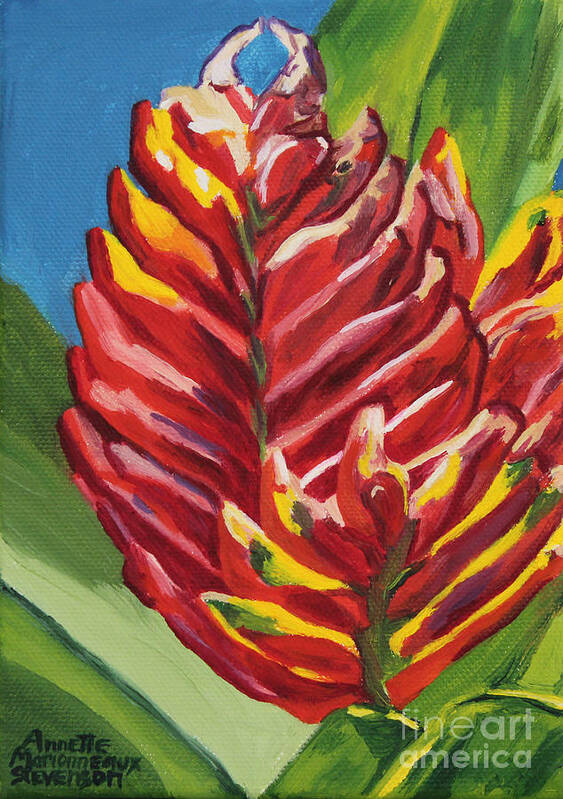 Bromeliad Art Print featuring the painting Red Bromeliad by Annette M Stevenson