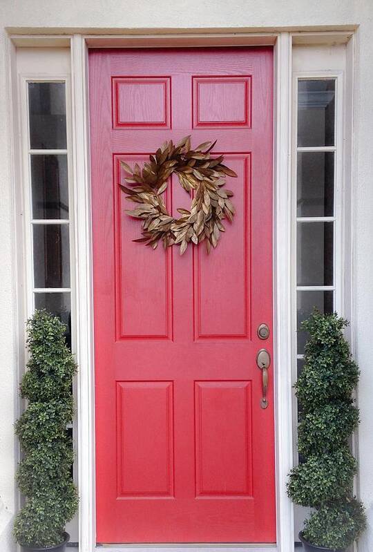 Red Art Print featuring the photograph Red Door by Marian Lonzetta