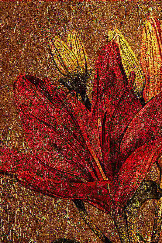 Flower Art Print featuring the photograph Red Lily Gold Leaf by Phyllis Denton