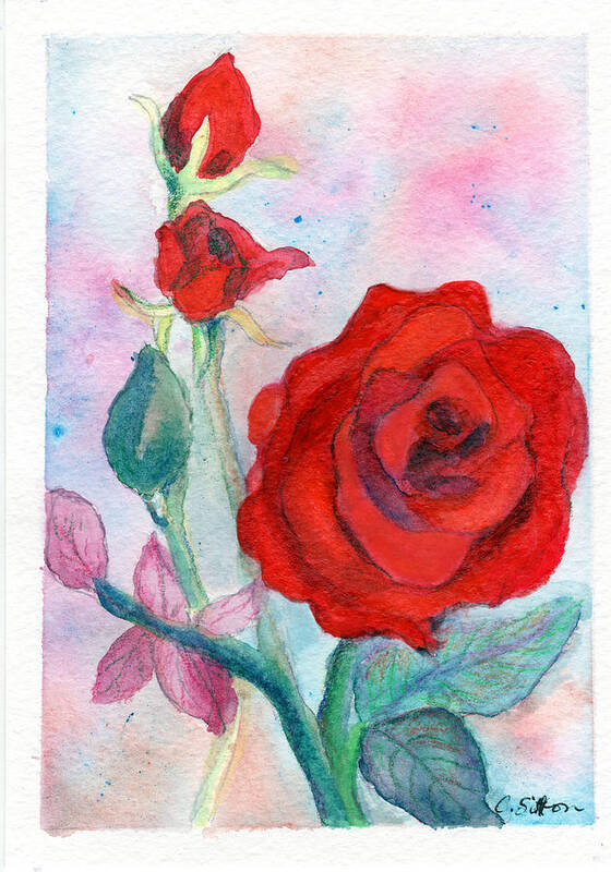 Rose Paintings Art Print featuring the painting Red Roses by C Sitton