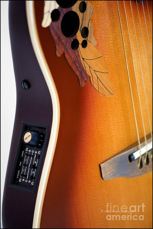 Guitar Art Print featuring the photograph Redish-brown Guitar by Richard J Thompson 