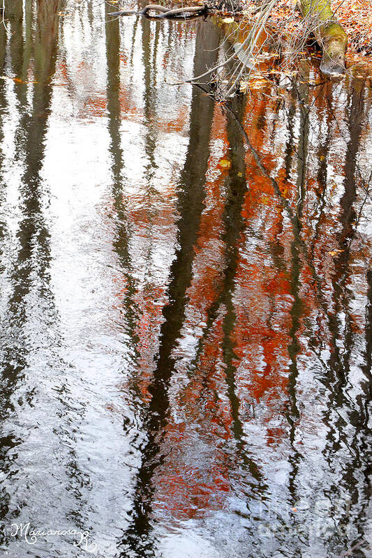 Reflections Art Print featuring the photograph Reflections in a Stream by Mariarosa Rockefeller