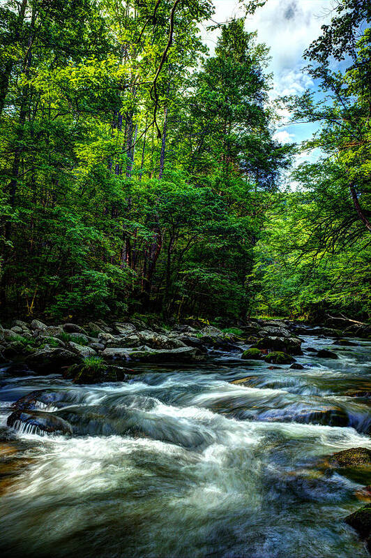 Smoky Mountains Art Print featuring the photograph Refreshing Morning Along The River by Michael Eingle