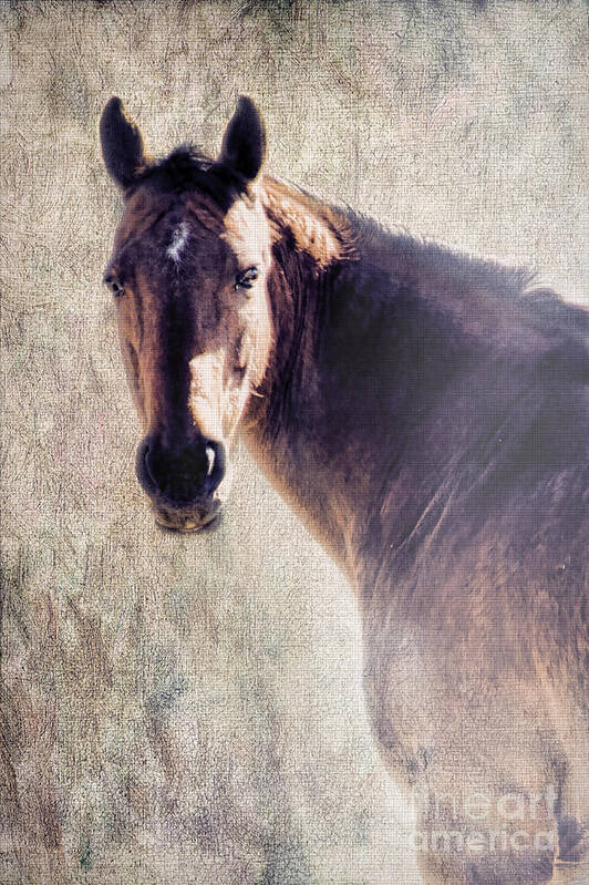 Horse Art Print featuring the photograph Reliability by Betty LaRue