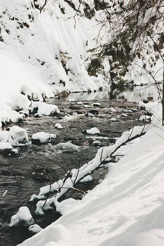 Beautiful Art Print featuring the photograph River Vertical by Pati Photography