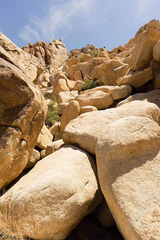 Joshua Tree Art Print featuring the photograph Rock Pile by Mike Evangelist
