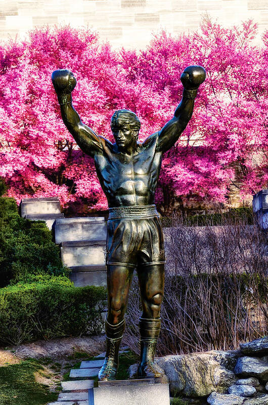 Rocky Art Print featuring the photograph Rocky Among the Cherry Blossoms by Bill Cannon