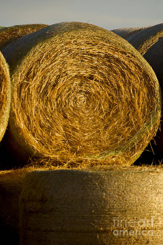 Hay Art Print featuring the photograph Rolled Hay  #1074 by J L Woody Wooden