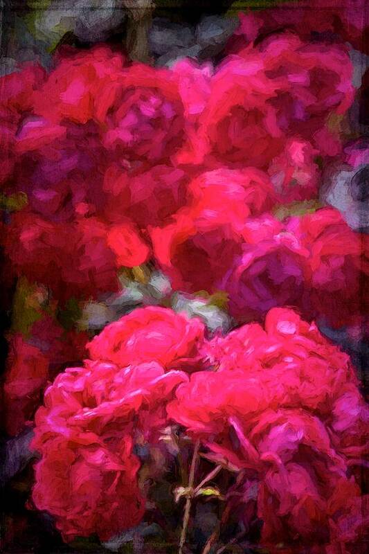 Floral Art Print featuring the photograph Rose 134 by Pamela Cooper