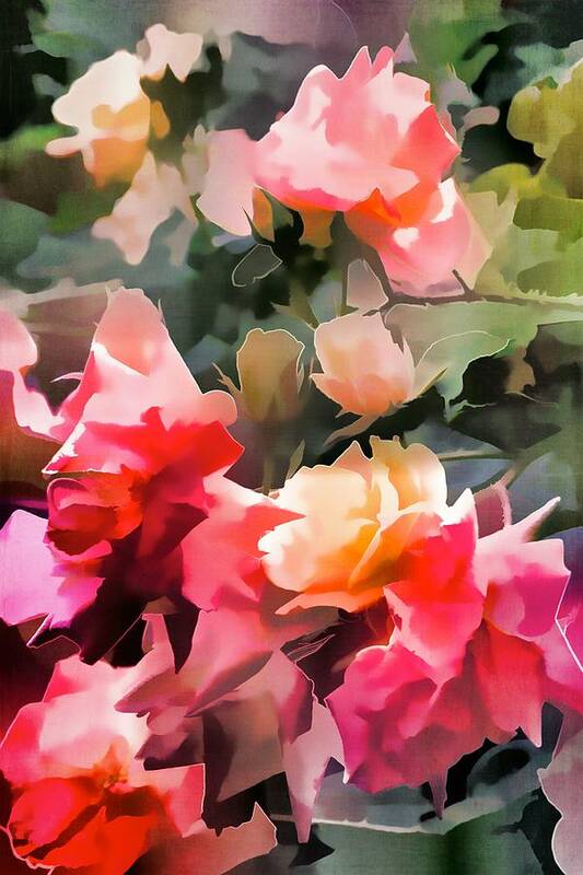 Floral Art Print featuring the photograph Rose 274 by Pamela Cooper