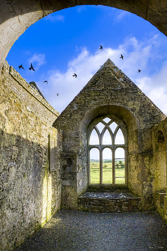 Galway Art Print featuring the photograph Ross Errilly Friary - Irish Monastic Ruins by Mark E Tisdale