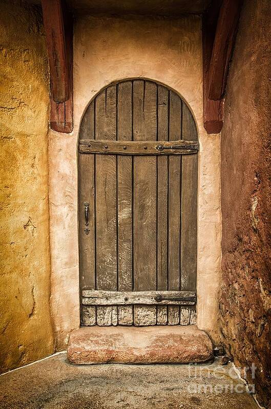 Mexican Art Print featuring the photograph Rural Arch Door by Carlos Caetano