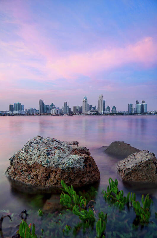 Outdoors Art Print featuring the photograph San Diego Skyline by Lee Sie Photography