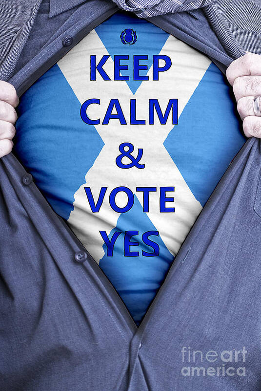 Scotland Art Print featuring the photograph Scottish Businessman votes yes by Antony McAulay