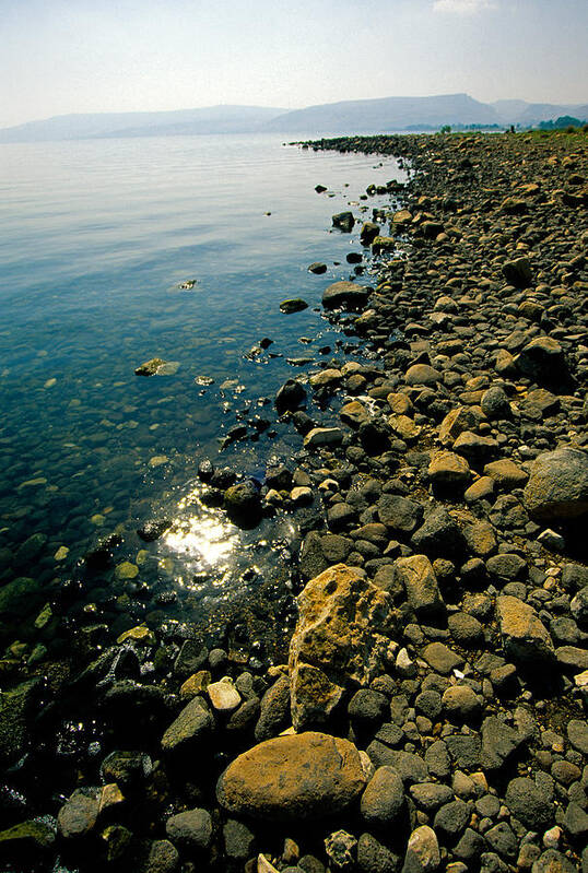 Sea Of Galilee Art Print featuring the photograph Sea of Galilee shore by Dennis Cox