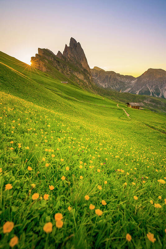 Grass Art Print featuring the photograph Seceda, Italy by Chalermkiat Seedokmai