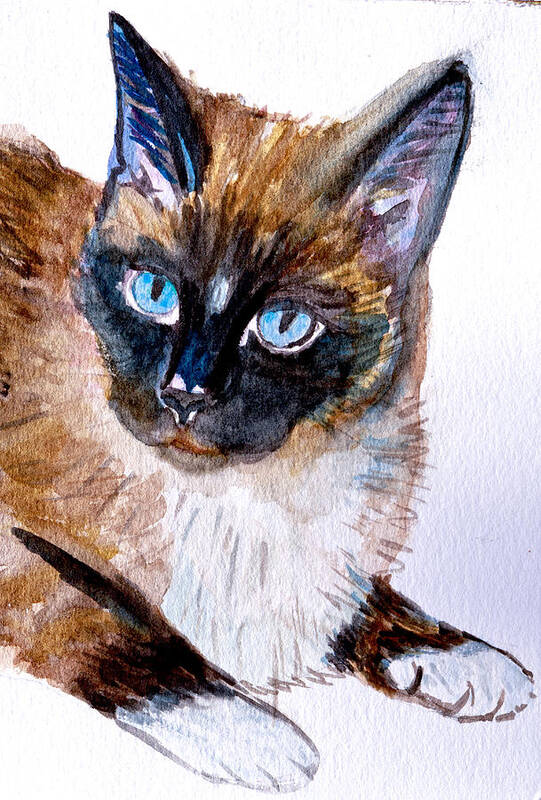 Siamese Art Print featuring the photograph Siamese Cat Portrait by Her Arts Desire