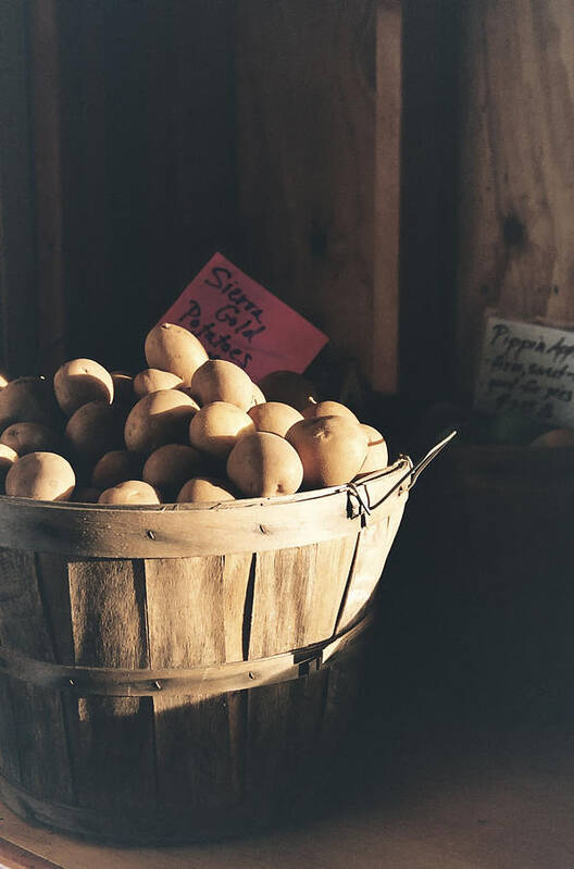 Potatoes Art Print featuring the photograph Sierra Gold by Caitlyn Grasso