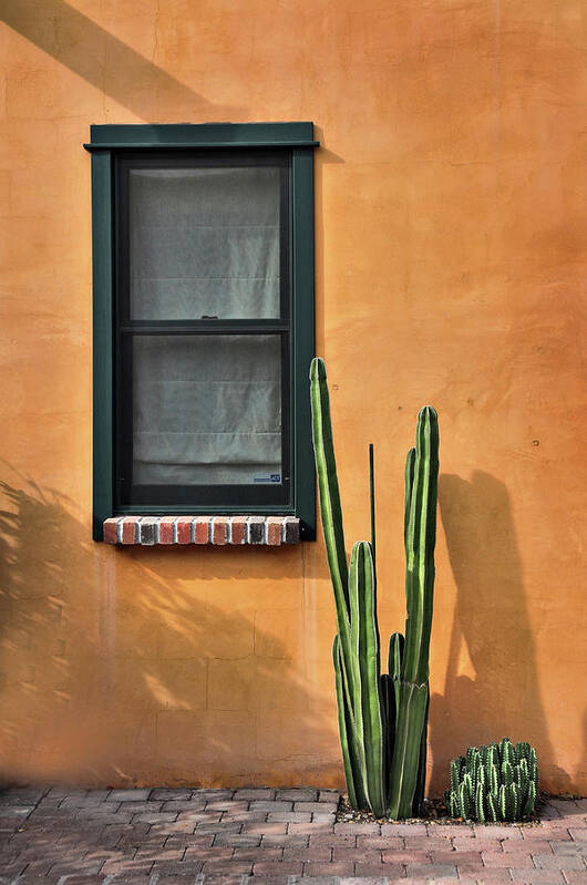 Tucson Art Print featuring the photograph Simple Design by Barbara Manis