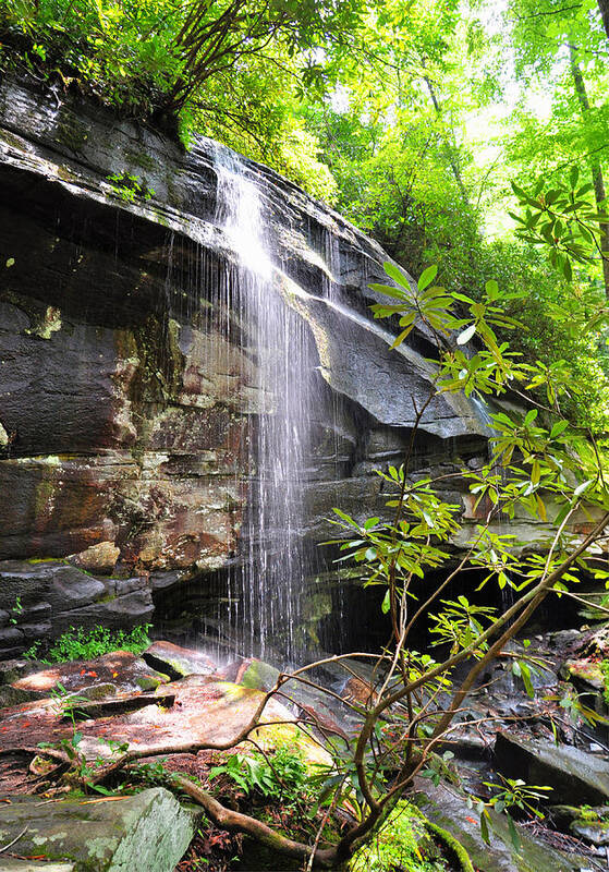 Slick Rock Falls Art Print featuring the photograph Slick Rock Falls by Savannah Gibbs