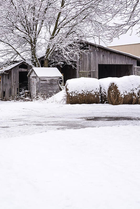 Farm Art Print featuring the photograph Snow Covered Farm by Holden The Moment
