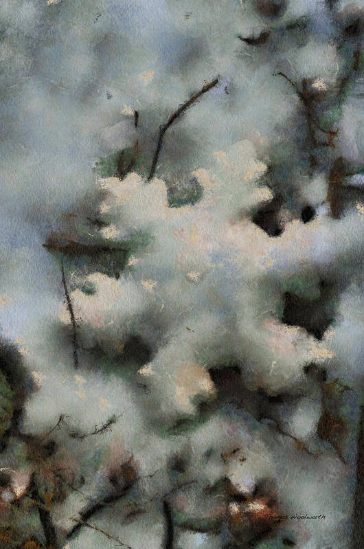 Season Art Print featuring the photograph Snow Flake 03 Photo Art by Thomas Woolworth