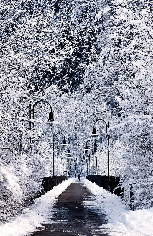 Germany Art Print featuring the photograph Snowy bridge by Jorge Maia