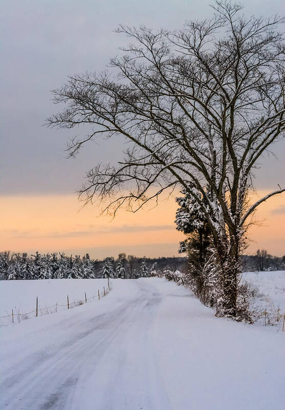 Snow Art Print featuring the photograph Snowy Country Road by Holden The Moment
