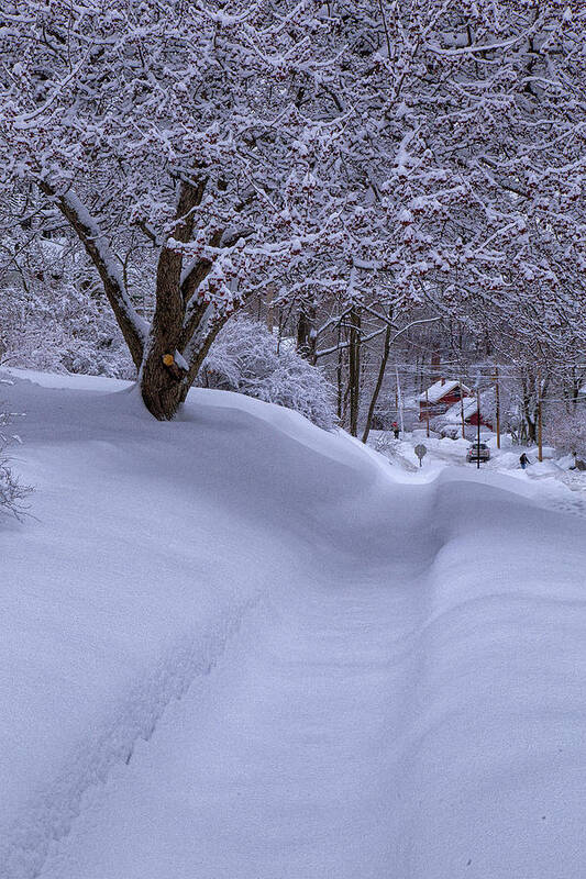 Vermont Winter Art Print featuring the photograph Snowy Sidewalk by Tom Singleton