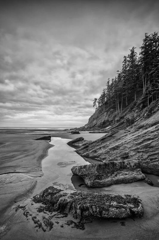 Vertical Art Print featuring the photograph Soul without Color by Jon Glaser