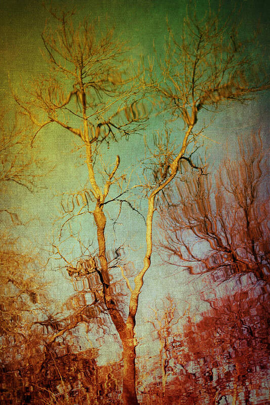 Sky Art Print featuring the photograph Souls of Trees by Trish Mistric