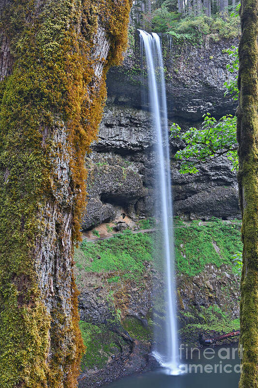 Silver Falls State Park Art Print featuring the photograph South Falls by Bill Singleton