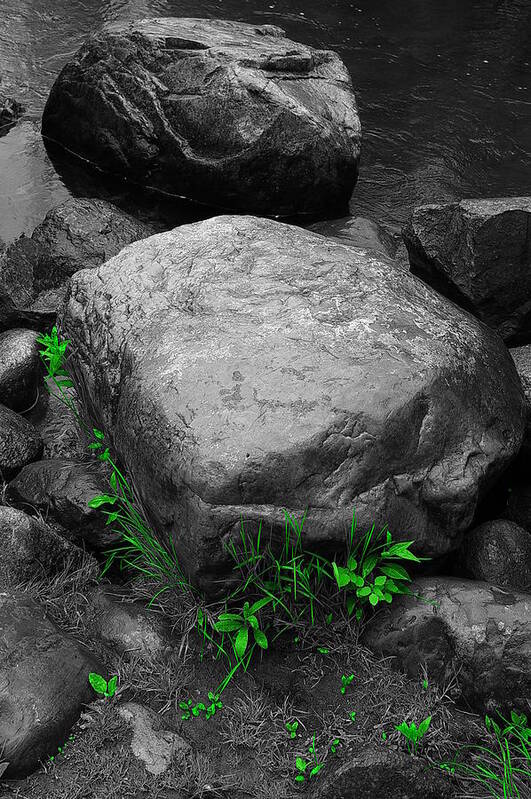 Stone Art Print featuring the photograph Spring at Augusta Creek by Randy Pollard