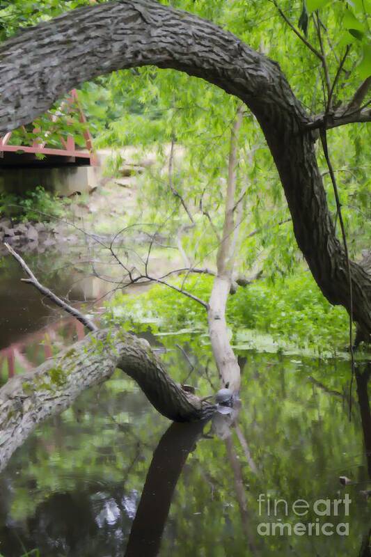 Creek Art Print featuring the photograph Springtime Pond with Turtles Abstracted by MM Anderson