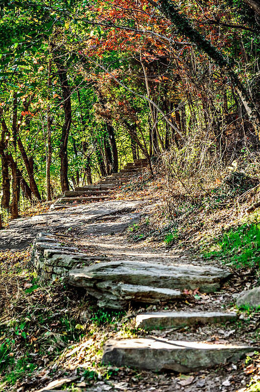 Steps Art Print featuring the photograph Stairs from Jackson Rock by Kelley Nelson