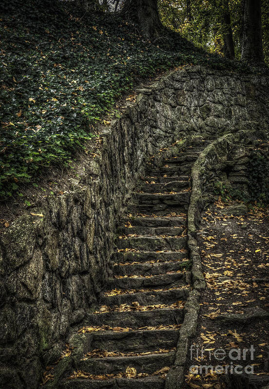 Stone Stair Case Art Print featuring the photograph Stairway in the Park by David Waldrop