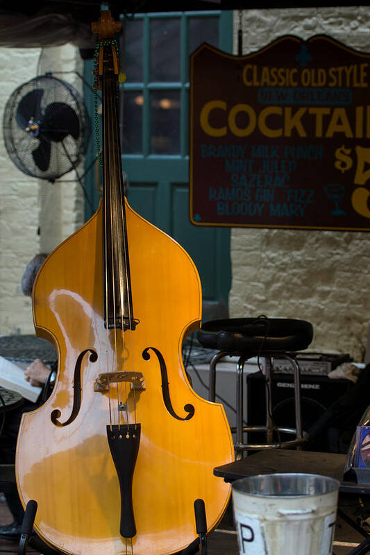 New Orleans Art Print featuring the photograph Stand Up Bass by Gregory Cox