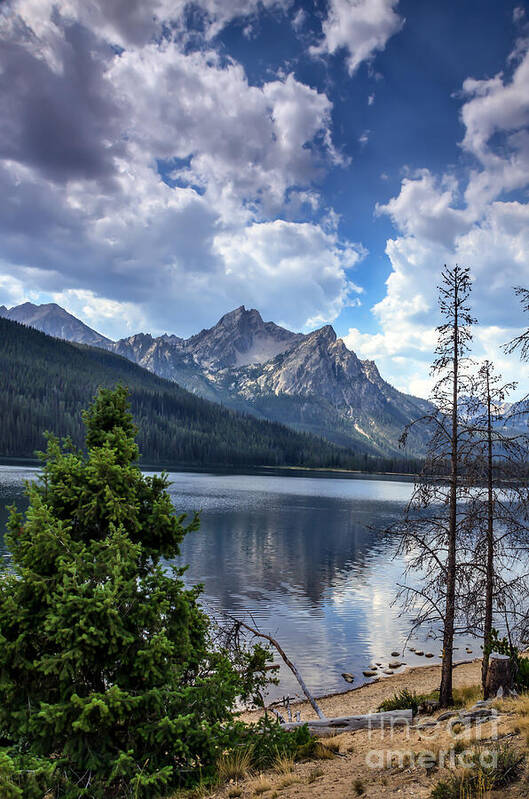 Rocky Mountains Art Print featuring the photograph Stanley Lake View by Robert Bales