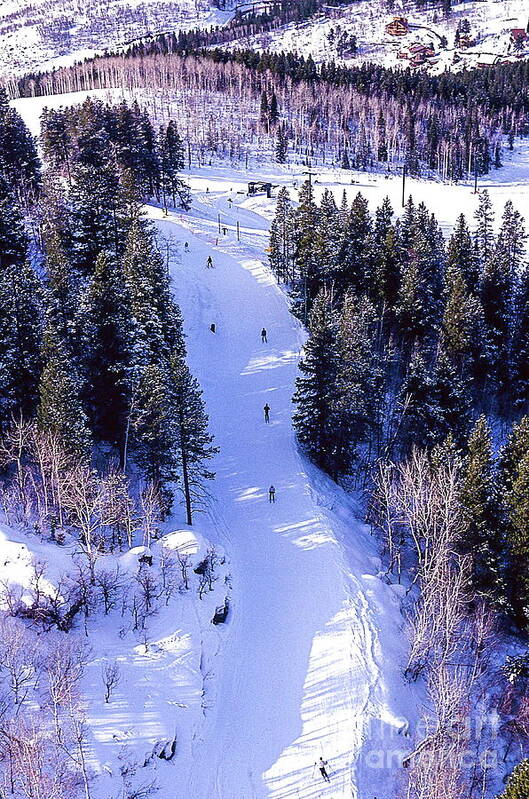 Steamboat Springs Colorado Ski Trail. Art Print featuring the photograph Steamboat Springs Colorado Ski Trail. by Robert Birkenes