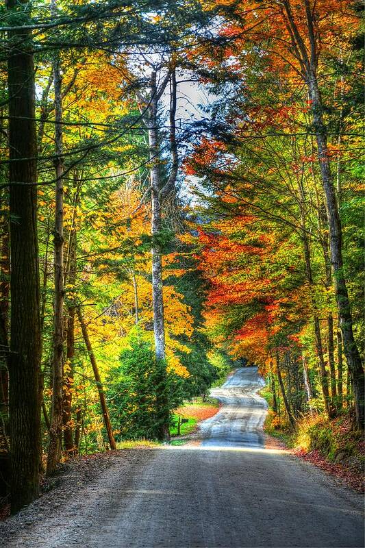 Autumn Art Print featuring the photograph Sterling Valley Road by John Nielsen