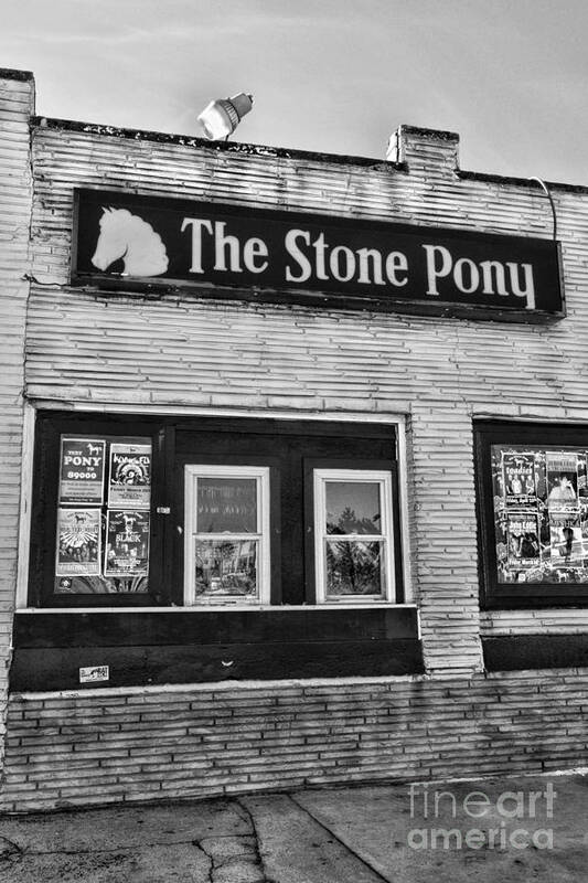 Paul Ward Art Print featuring the photograph Stone Pony 1 by Paul Ward