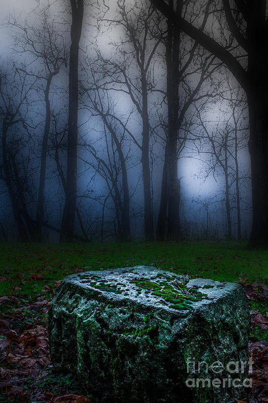 Defiance Art Print featuring the photograph Stone Table by Michael Arend