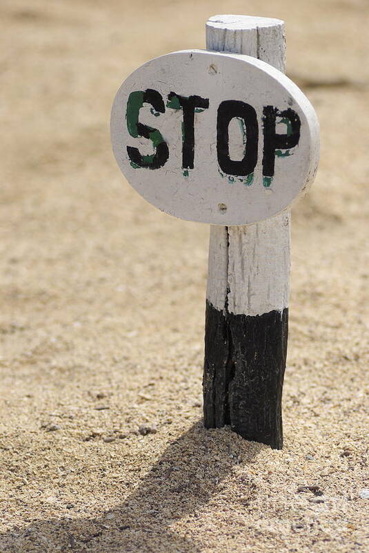 Authority Art Print featuring the photograph Stop sign on sand by Sami Sarkis