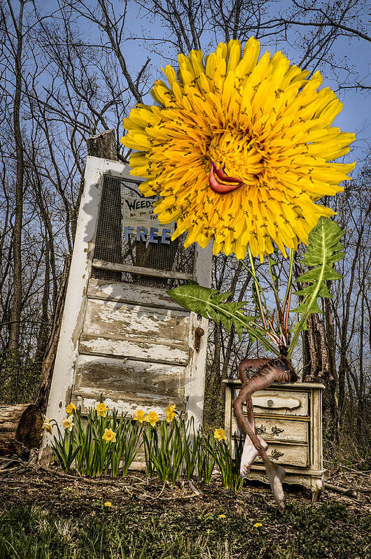 Dandalion Art Print featuring the photograph Story Time by Nancy Strahinic