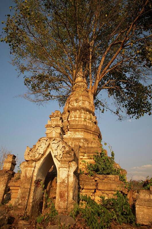 Outdoors Art Print featuring the photograph Strangler Fig Overtaking Buddhist Stupa by Jim Simmen